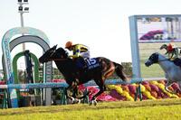 　マイルＣＳを制したジャンタルマンタル（撮影・石湯恒介）