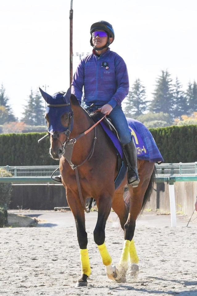 　レーベンスティール