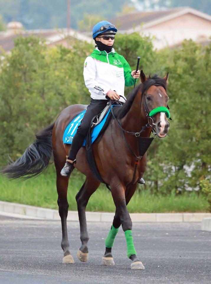 　エルトンバローズ