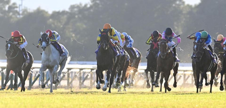 　マイルＣＳを制したジャンタルマンタル（中）＝撮影・飯室逸平