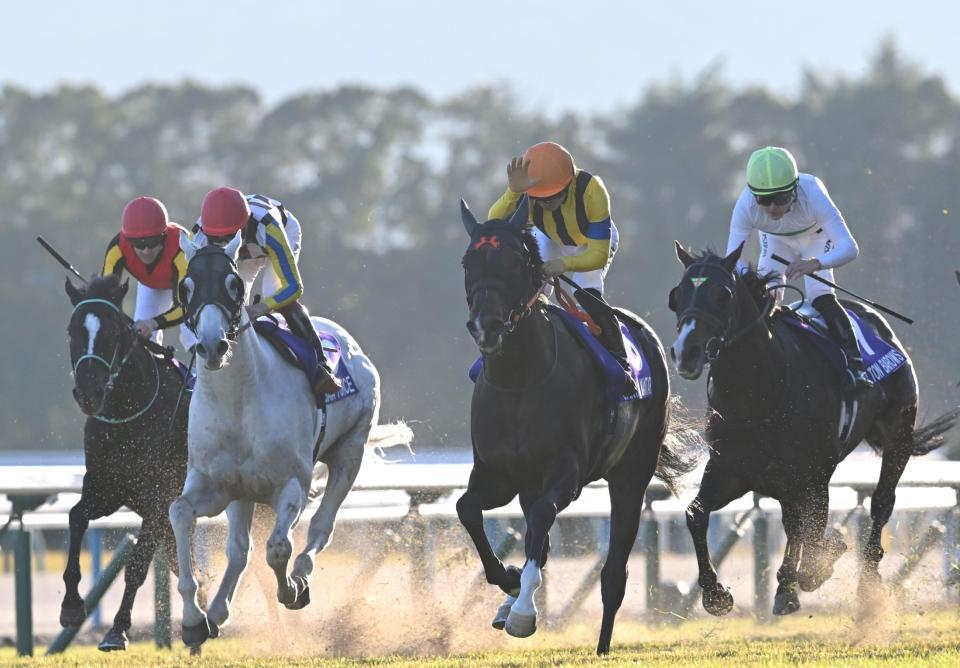 　マイルＣＳを制したジャンタルマンタル（中）＝撮影・飯室逸平