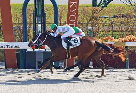 【新馬戦】シュネルアンジュ　最速上がりでＶ　寺島師「いい内容で勝てました」