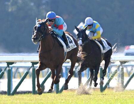 　新馬戦を制したスカイスプレンダー（撮影・飯室逸平）