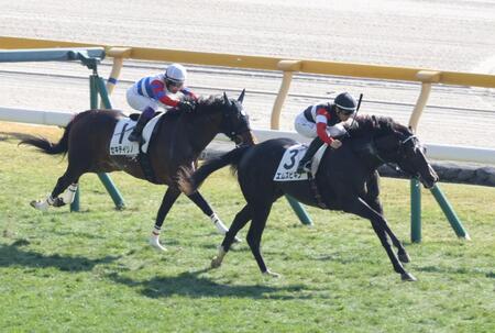 　３Ｒを制したエムズビギン（右）＝撮影・西岡正