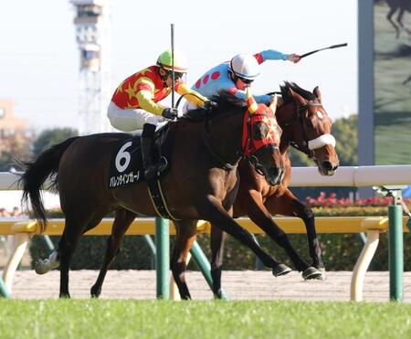 アーモンドアイ初子アロンズロッド2着で3連勝ならず ノーザンファーム生産馬の連勝も8でストップ