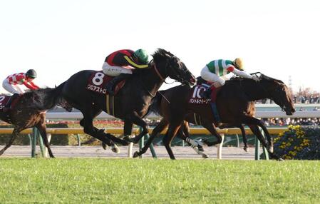 　ゴール前の競り合いを制したパントルナイーフ（右）＝撮影・西岡正