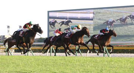 　ゾロアストロ（左）、ライヒスアドラー（右から）との競り合いを制したパントルナイーフ（撮影・西岡正）