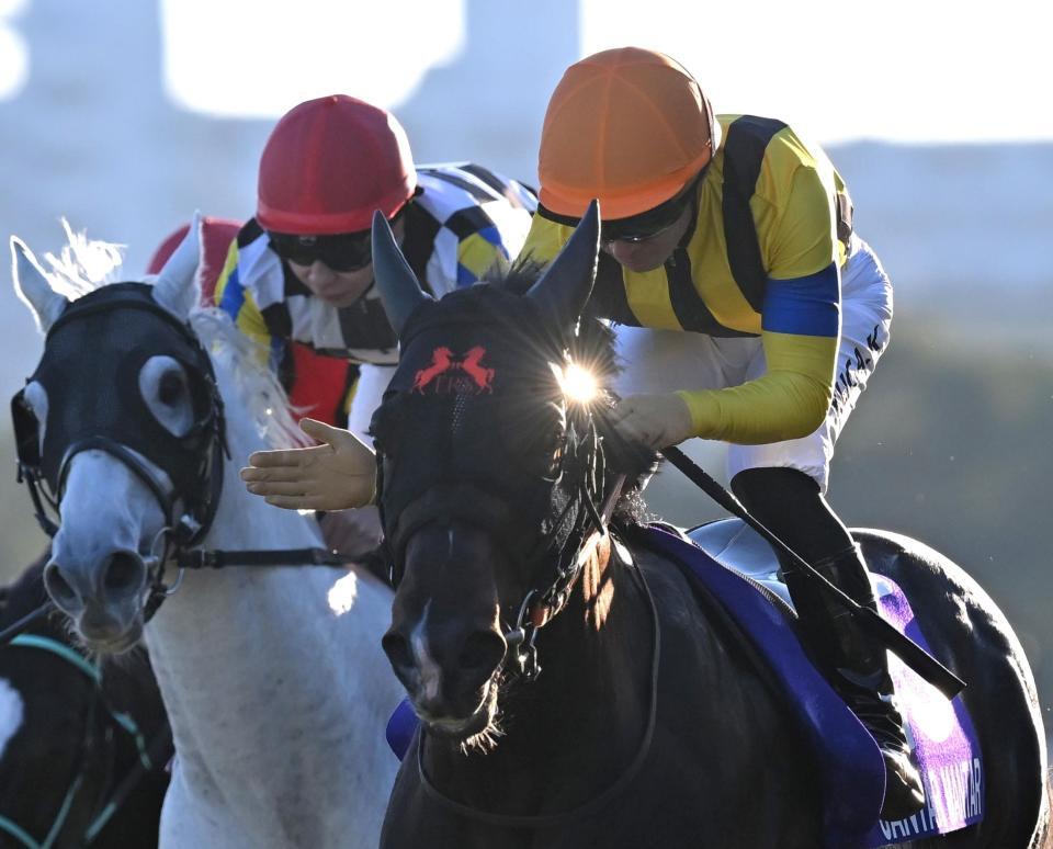 　マイルＣＳを制したジャンタルマンタル（右）とガイアフォース