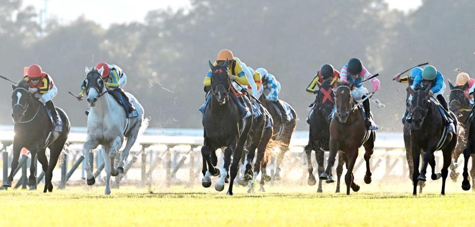 　マイルＣＳを制したジャンタルマンタル（中央）＝撮影・飯室逸平