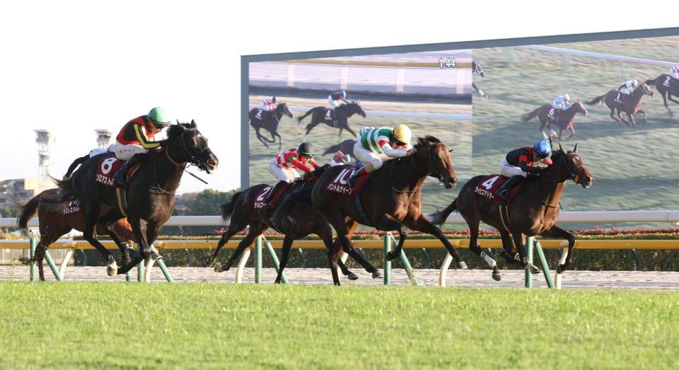 　ゾロアストロ（左）、ライヒスアドラー（右から）との競り合いを制したパントルナイーフ（撮影・西岡正）