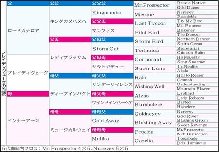 ブレイディヴェーグ５代血統表