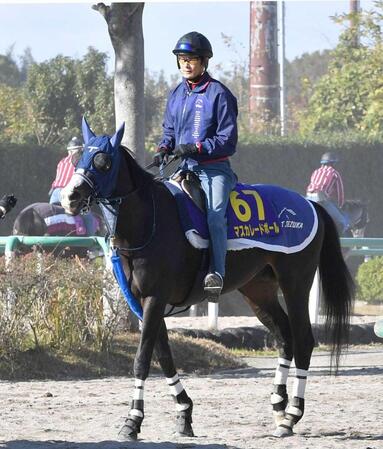 【ジャパンC】マスカレードボール 堂々主役 3歳馬初の秋盾&JC制覇へ 手塚久師「肉体面は上がっても、精神面が。うまく調整したい」