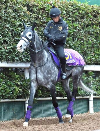 アドマイヤテラ