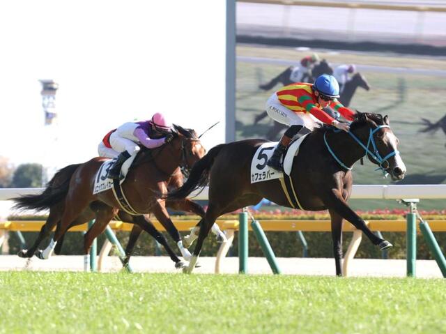 新馬戦】カフェラバー 良血みせつけV 祖母はG1・7勝のジェンティル