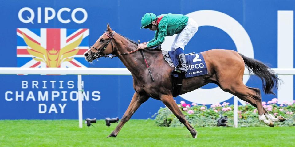 　ジャパンＣ制覇を狙うカランダガン（ｃ）Ａｓｃｏｔ