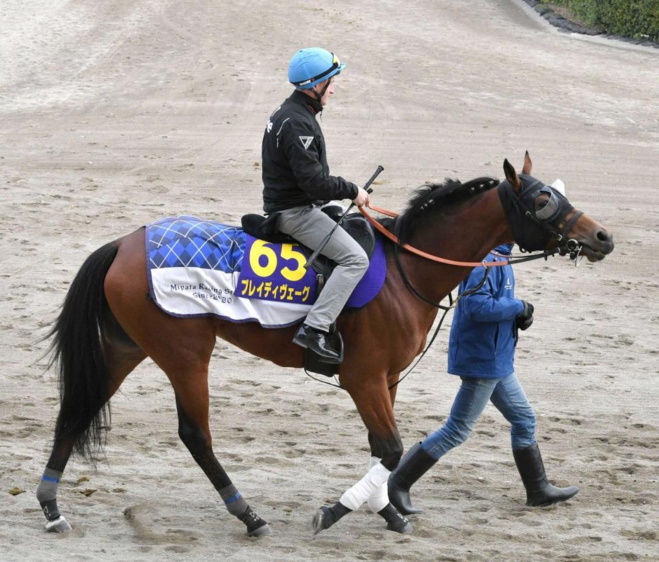 　国枝系の母の血を受け継ぐブレイディヴェーグ