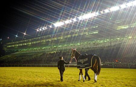 　ジェンティルドンナの引退式＝２０１４年１２月２８日