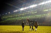 　ジェンティルドンナの引退式＝２０１４年１２月２８日