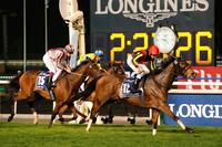 　ドバイ・シーマクラシックで昨年の雪辱を果たしたジェンティルドンナ（右）＝２０１４年３月３１日（共同）