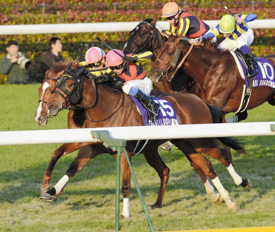 　オルフェーヴル（左）との激しいたたき合いを制し、ジャパンＣを制したジェンティルドンナ＝２０１２年１１月２５日