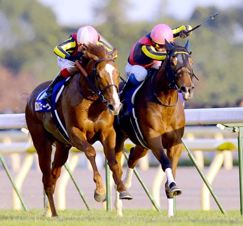 　ジャパンＣでオルフェーヴル（左）と直線でたたき合うジェンティルドンナ＝２０１２年１１月２５日