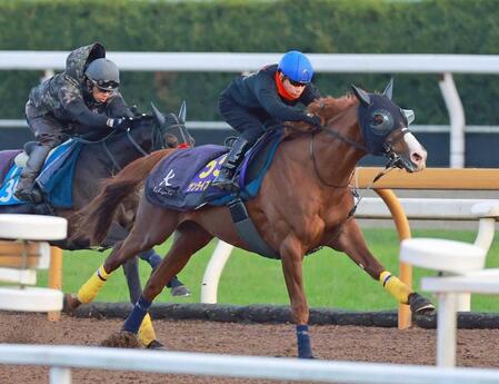 【ジャパンＣ】サンライズアース　抜群の手応え　池添も満足げ「出来に関して何も言うことはない」