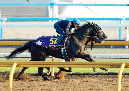 【ジャパンＣ】クロワデュノール　出走ＧＯサイン！圧巻最終リハ　調教騎乗“ライバル”Ｃデムーロからお墨付き