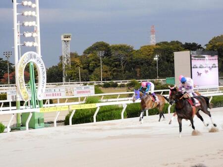 　大外強襲を決めたオディロン（右）＝撮影・中山伸治