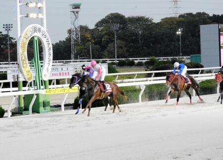 　ダート２戦目でダートグレードを制覇したトウカイマシェリ（左から２頭目）＝撮影・中山伸治