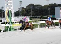 　ダート２戦目でダートグレードを制覇したトウカイマシェリ（左から２頭目）＝撮影・中山伸治