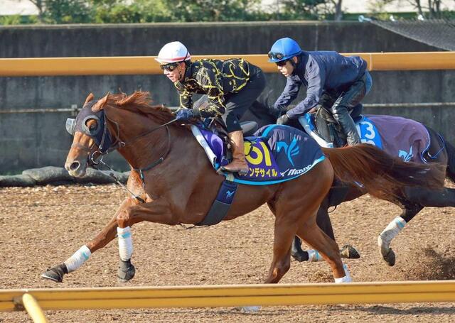 ジャパンC】ダノンデサイル 圧巻の走り！さすがダービー馬ラスト