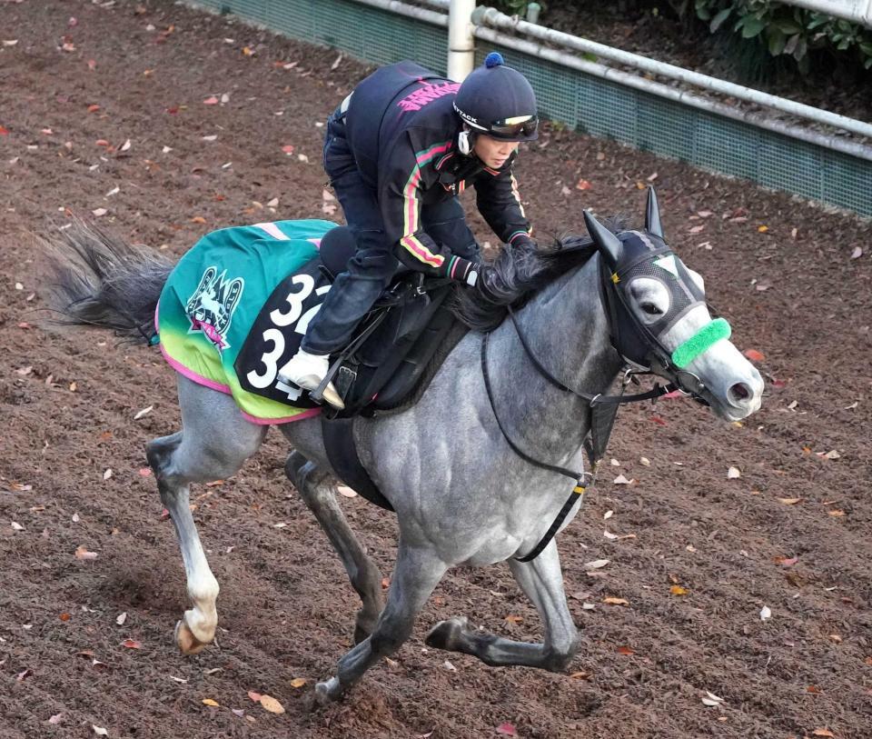 　栗東坂路を余力十分に駆け上がったサトノアイボリー