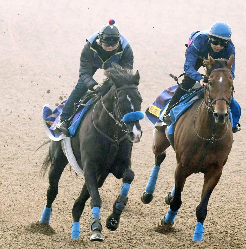 　美浦Ｗ併せで追い切ったドゥレッツァ（左）＝撮影・園田高夫