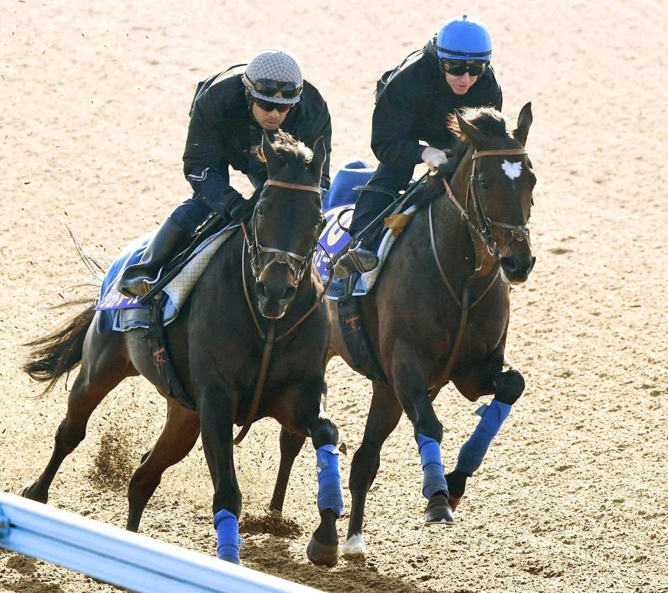 　美浦Ｗ、シュトルーヴェ（左）と併せで追い切ったタスティエーラ（撮影・園田高夫）