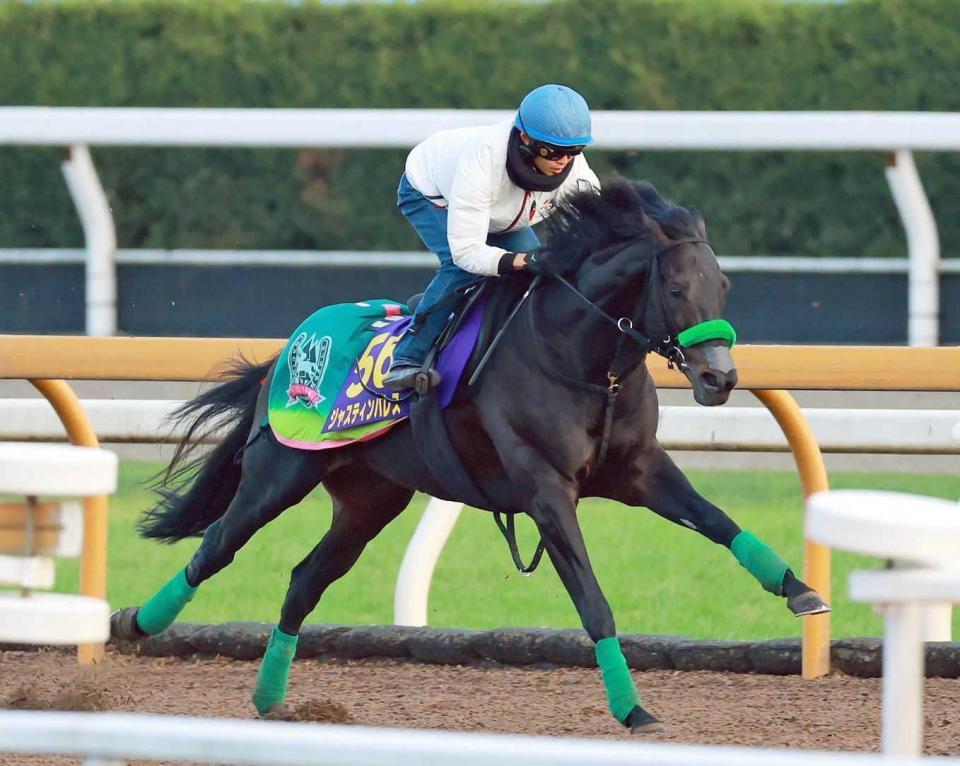 　順調に追い切りを消化したジャスティンパレス