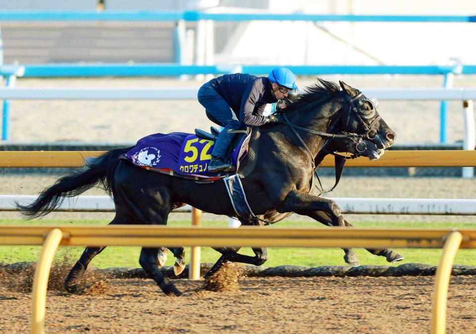 　３頭併せで貫禄の最先着を決めたクロワデュノール（撮影・石湯恒介）