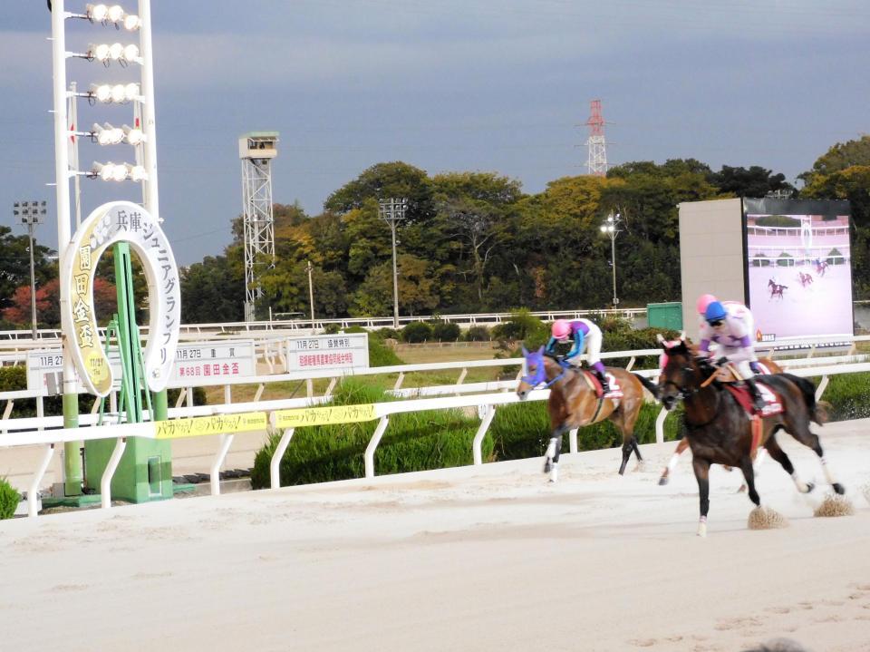 　大外強襲を決めたオディロン（右）＝撮影・中山伸治