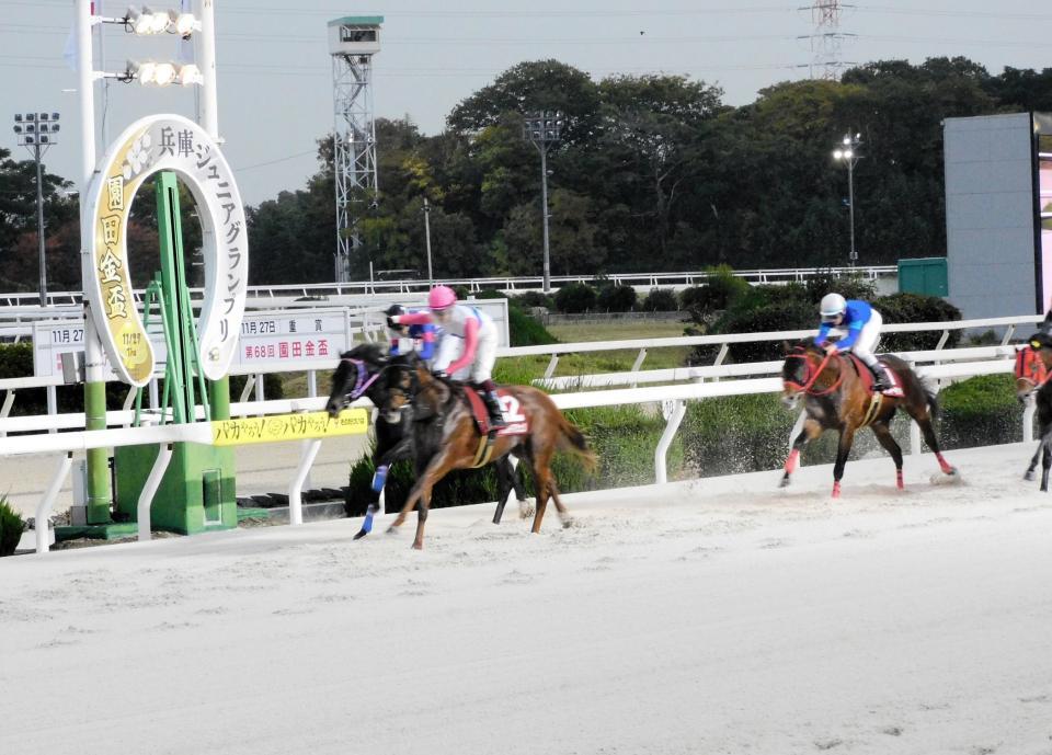 　ダート２戦目でダートグレードを制覇したトウカイマシェリ（左から２頭目）＝撮影・中山伸治