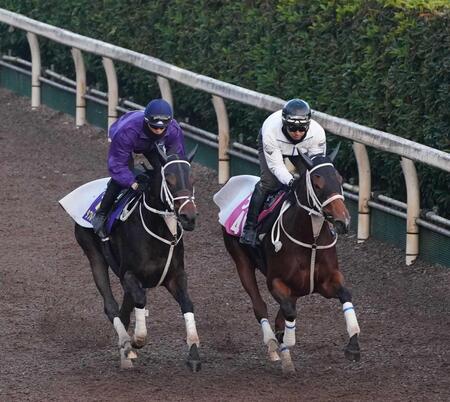 　力強く登坂したダブルハートボンド（左）