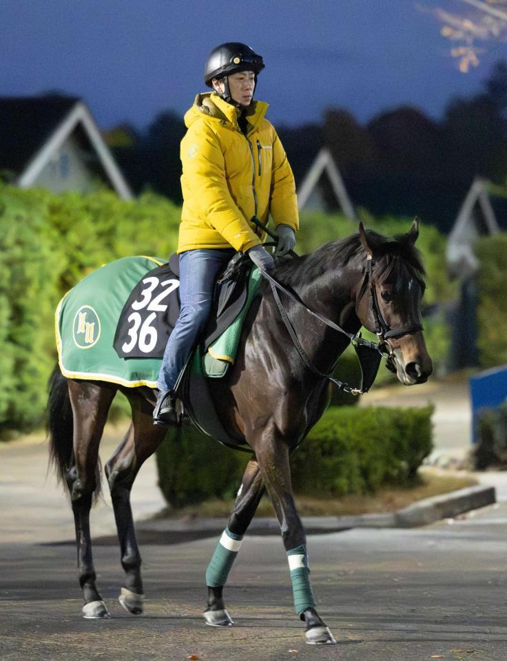　好調上村厩舎が送り出すサトノセプター