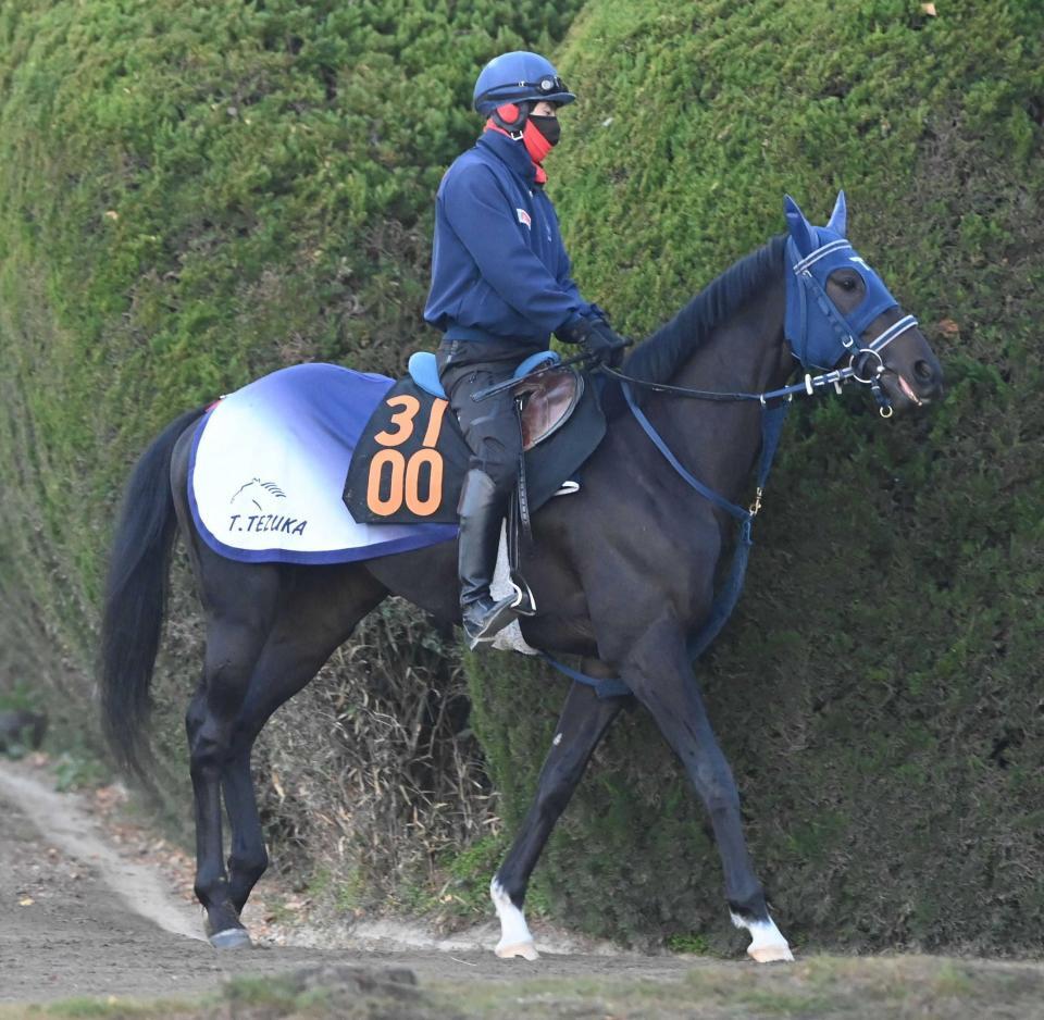 　初陣Ｖへ向けて好仕上がりのウルフマン