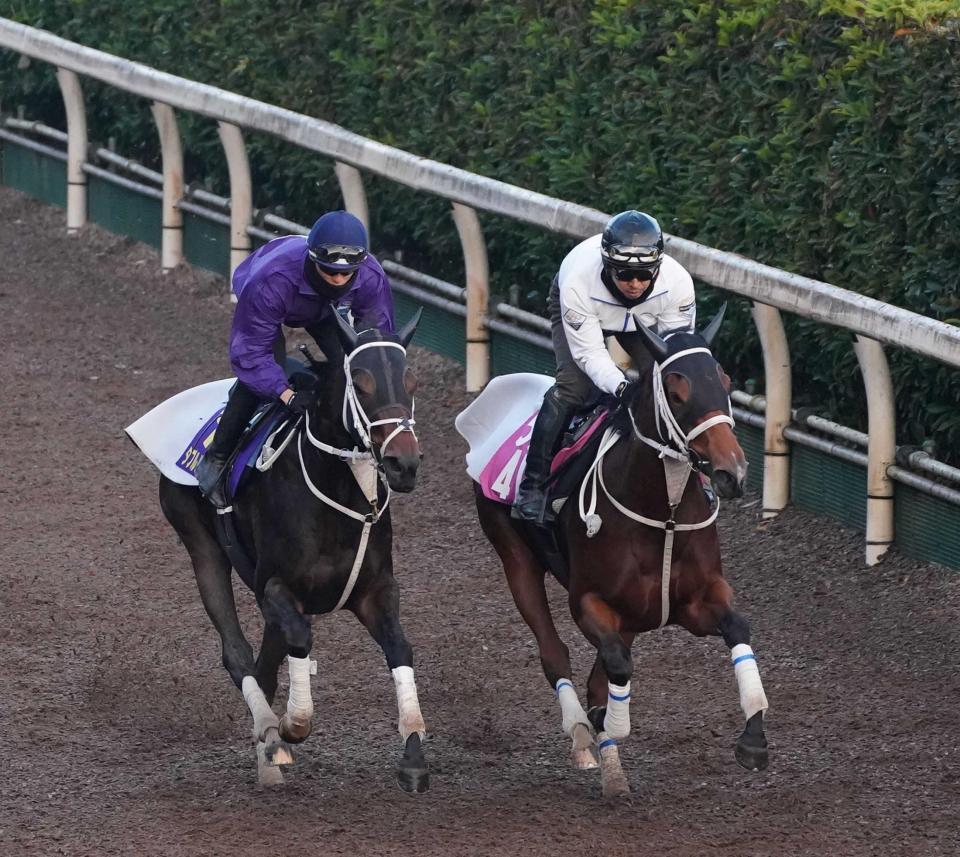 　力強く登坂したダブルハートボンド（左）