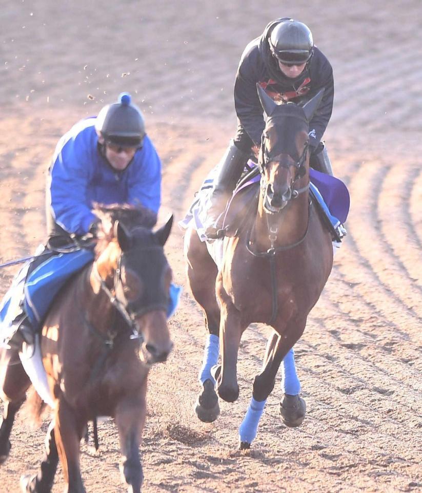 　併せ馬で先着したホウオウビスケッツ（右）＝撮影・園田高夫