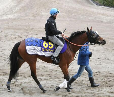 　ブレイディヴェーグ