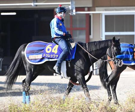 【ジャパンＣ】ドゥレッツァ　気合入った　尾関師「少し反応が遅かったので、やっておいて良かった」ゲート練習で感触つかむ