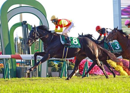 　外に出すと一気に突き抜けたジャスティンビスタ（撮影・石湯恒介）