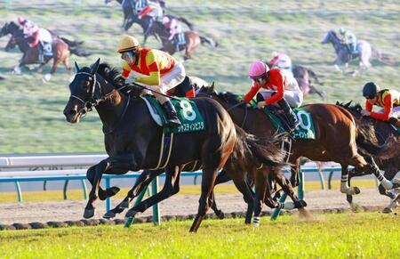 　外に出すと一気に突き抜けるジャスティンビスタ（左）＝撮影・石湯恒介