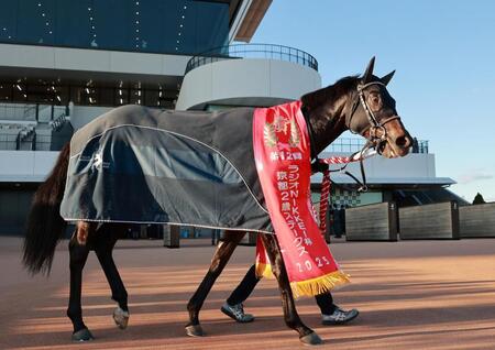 　京都２歳Ｓを制したジャスティンビスタ（撮影・石湯恒介）