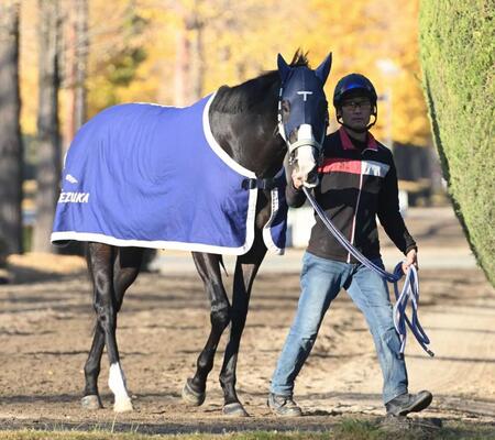 【ジャパンＣ】展開から浮上するのはこの馬だ