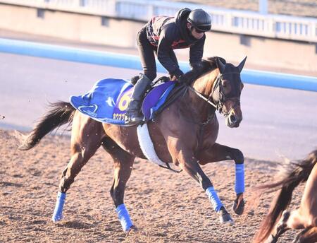 【ジャパンＣ】馬場状態から浮上するのはこの馬だ